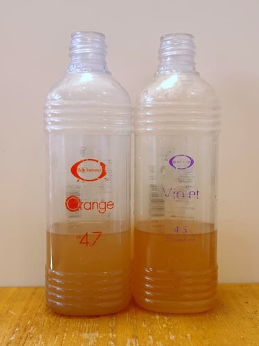 ベルジュバンス