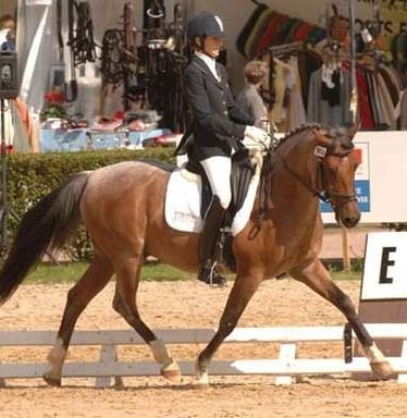 OSSBORNE Champion des 6 ans