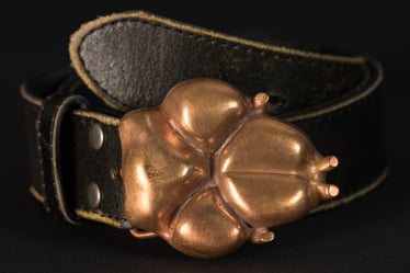 passione-petruccis Webseite!