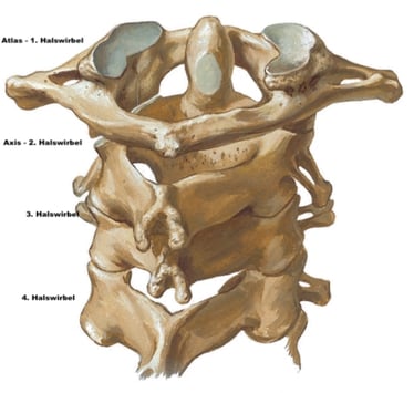Atlas Atlaskorrektur Halswirbel Wirbelsäule Schleudertrauma Beckenschiefstand
