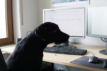 Ein Foto eine Kaffeetasse