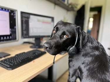 Ein Foto eines EDV-Schemas in Visio