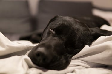 Foto Notebook auf dem die VPN Verbindung hergestellt werden konnte