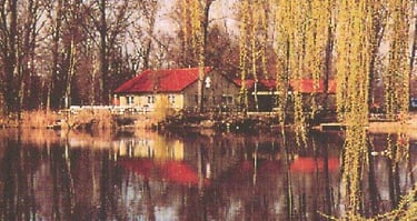 asv1948s jimdo page!