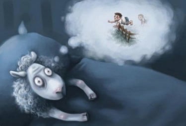 Insomnies, hypersomnie, difficultés d'endormissement, dette de sommeil, apnée du sommeil...Quelles peuvent être les causes des troubles chroniques du sommeil et comment les traiter de manière adéquate ? 