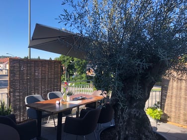 Jeden 1. Sonntag im Monat geöffnet