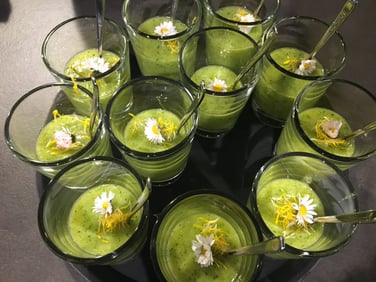 Wildkräuterkurs in der heimischen Küche