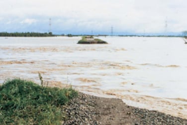 ついに石狩川の下新篠津築堤から水が溢れた（昭和56年8月上旬。江別市美原地区。北海道開発協会蔵）