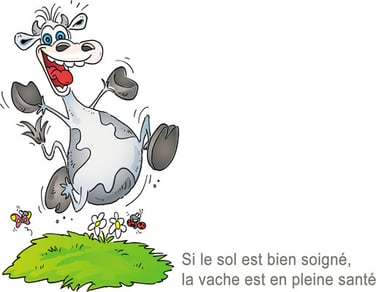 Si le sol est bien soigné, la vache est en pleine santé.