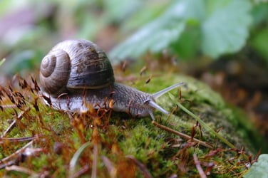 Meditation, Achtsamkeit, Selbstliebe, MBSR, Persönlichkeitsentwicklung, Entspannung