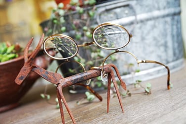 カメマンネン54　はねあげフレーム