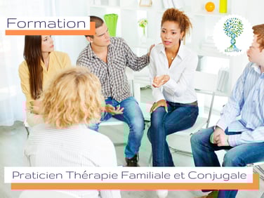 ellipsy-thérapie-brève-formation-praticien-systémie