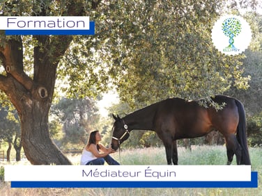 ellipsy-formation-médiateur-équin