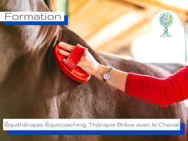 ellipsy-formation-équithérapeute-équicoach-praticien-thérapie-brève-avec-le-cheval