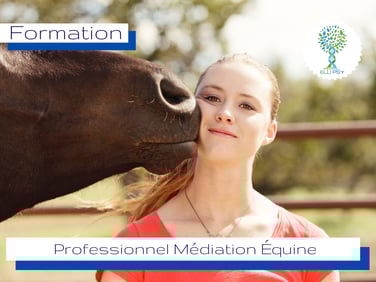ellipsy-thérapie-brève-formation-professionnels-médiation-équine