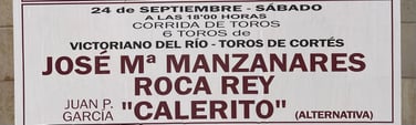 Toros de Victoriano del Rio pour José Maria Manzanares, Roca Rey et Calerito