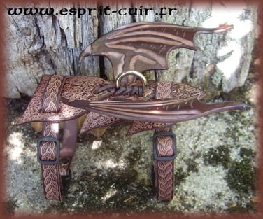 Harnais pour furet dragon