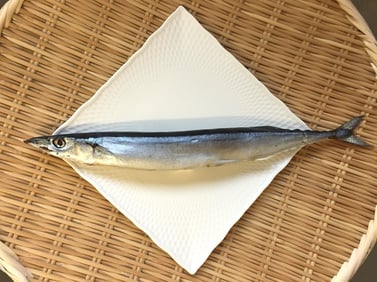 恵比須サンマ丸干し写真1