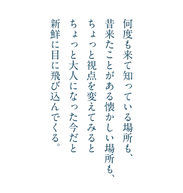 何度もきて知っている場所も、昔来たことがある懐かしい場所も、ちょっと視点を変えてみるとちょっとおとなになった今だと新鮮に目に飛び込んでくる。