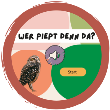 "Wer piept denn da?" Vogelstimmen-Quizze