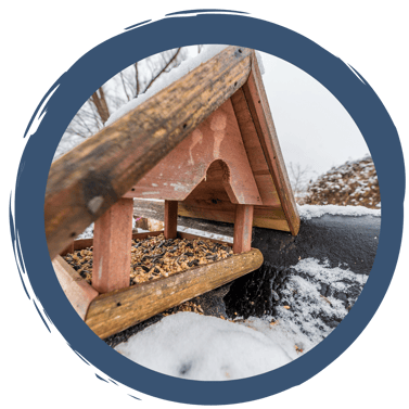 Was fressen Vögel im Winter?
