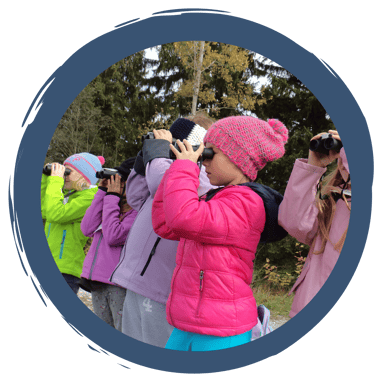 Vogelkunde für Einsteiger