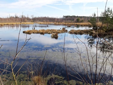 Blick auf den Engelmannsteich.