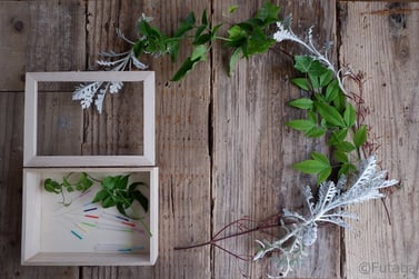 image-shot-of-acupuntures