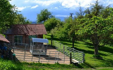 Gruppen-Auslaufstall