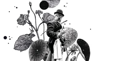 ©Charlotte Robert-Briaumont et Mélanie Busnel