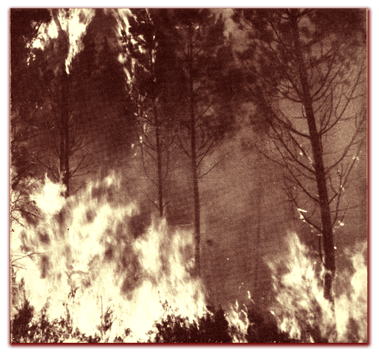 orthe, feu, foret, incendie, pignada, mirador, prevention, landes, aquitaine, etigny