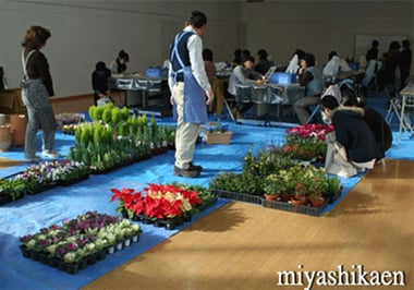 白山市役所市民交流センターで、クリスマスの寄せ植え教室を開催した時の様子です。参加者の方が数種類の中から、お好きな苗を選んでいます。