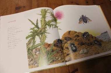 ふんのそうじ屋　熊田千佳慕さん