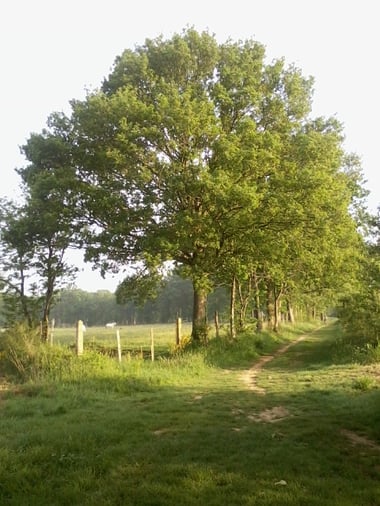 Photo Isabelle Bouchex