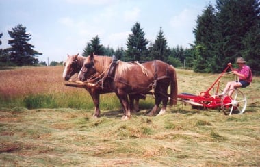 Faucheuse à section attelée en paire