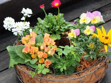 ドーナツ型のワイヤー製のリングバスケットを販売しています。