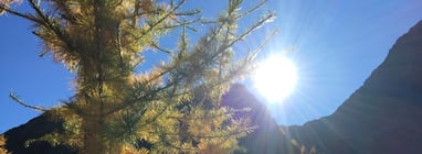 Photovoltaikanlagen Solaranlagen Rossi Dach AG Oberbüren