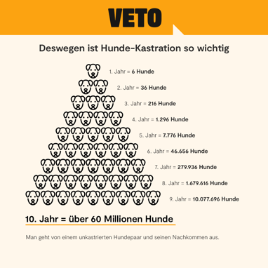 Quelle: VETO Tierschutz, Webseite