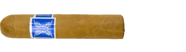 PRESIDENTE Robusto 25 Cigarre