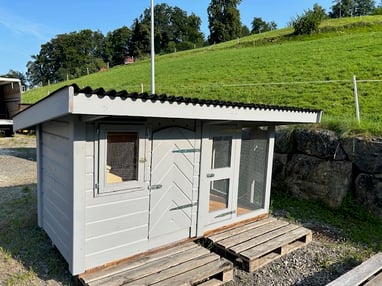 Hühnerstall, Geflügelstall, Hühnerhaus grau lasiert