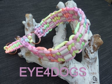Hondenhalsband van paracord met PPM gesp sluiting