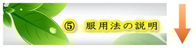 相談の流れ　⑤服用法の説明