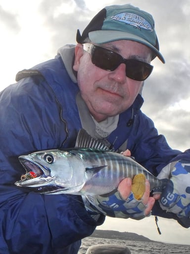Bonito caught using a crease fly