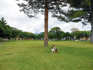 Left building is Kin-ken Center.