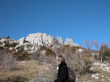 Les  ruines  du  Castelaras  vues  du  versant  sud 