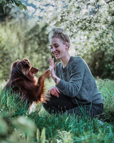 Hundesalon Hundefriseur