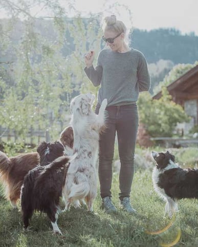 Hundefriseur Tina`s Pfotenglück