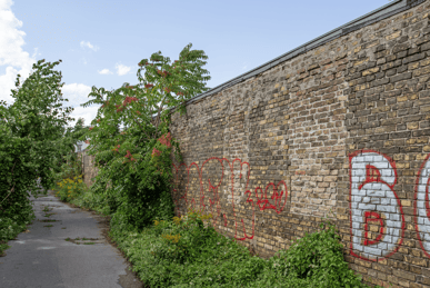 Blick auf die Reste des ehem. Kopfbaus Nr. 2.