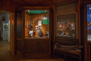 Das Private Museum für Tierkunde in Berlin-Marienfelde.