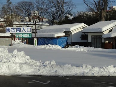 本日、雪かきをする「懐古園」。小諸城址、藤村記念館、動物園、遊園地などが集まった小諸市の観光名所です。小諸城址は、その歴史が平安時代に遡り、武田信玄などに関わる由緒ある城跡。私達は、遊園地の入り口付近を雪かきしました。